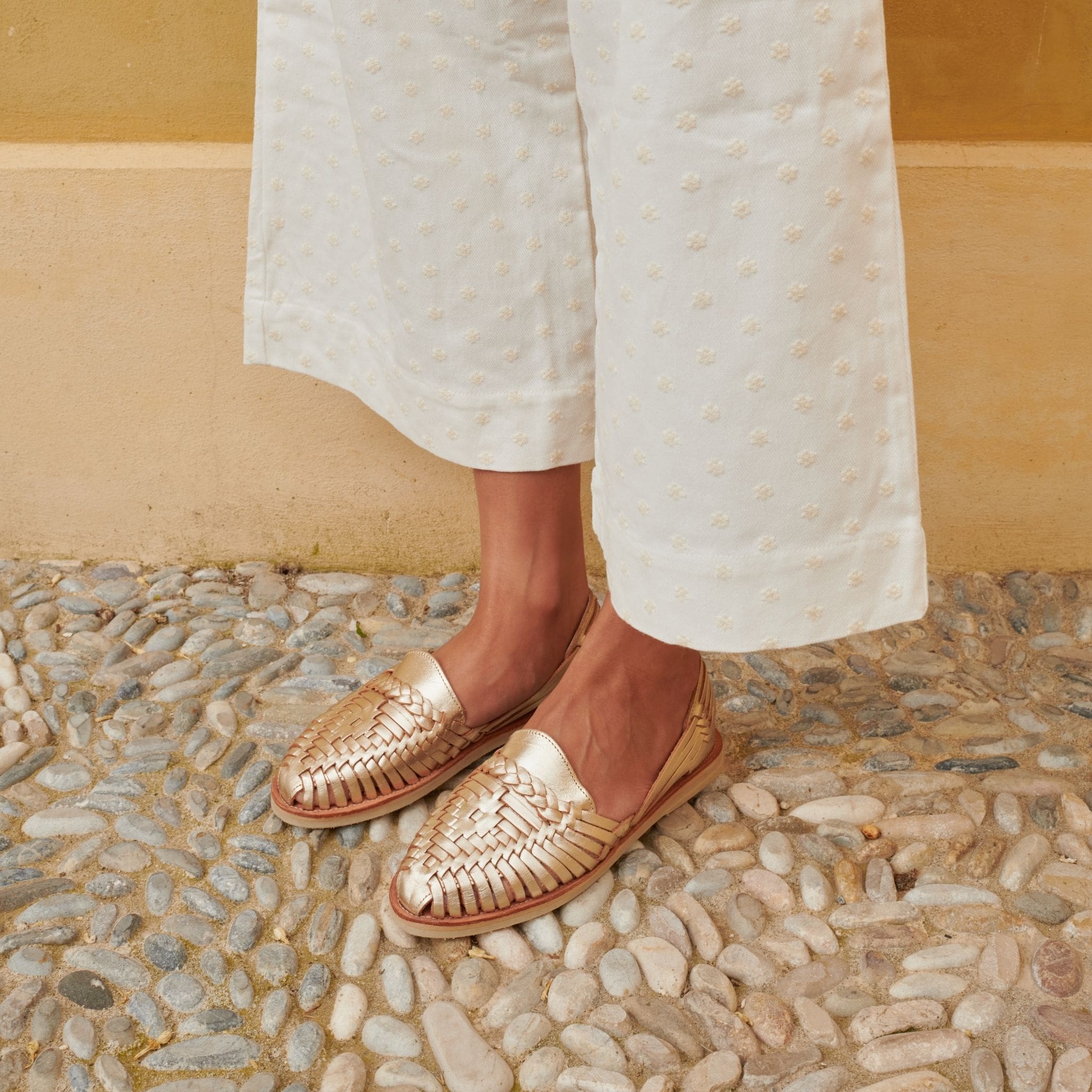 Alegre Champagne - Huarache Mapache