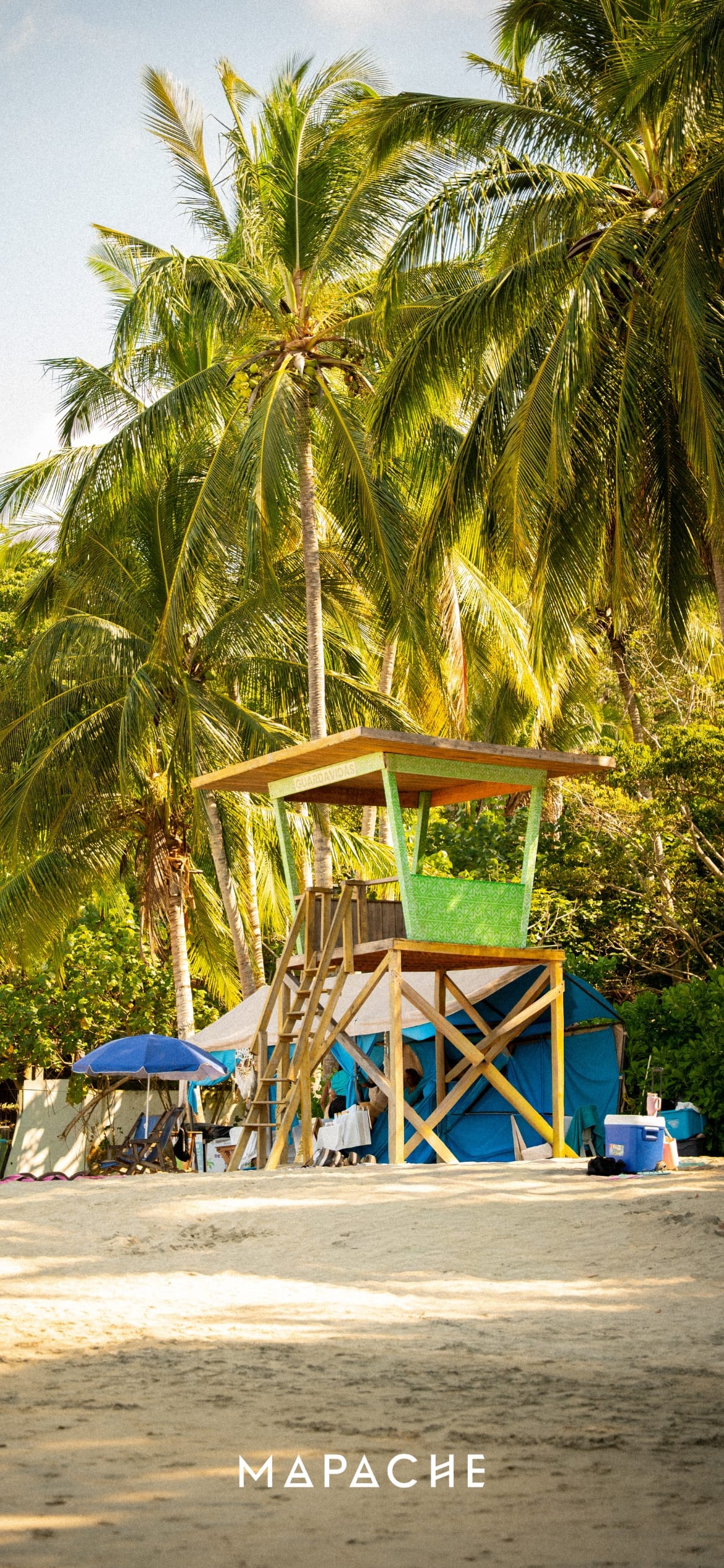 Fond d'écran - Cabane verte entourée de palmiers sur une plage