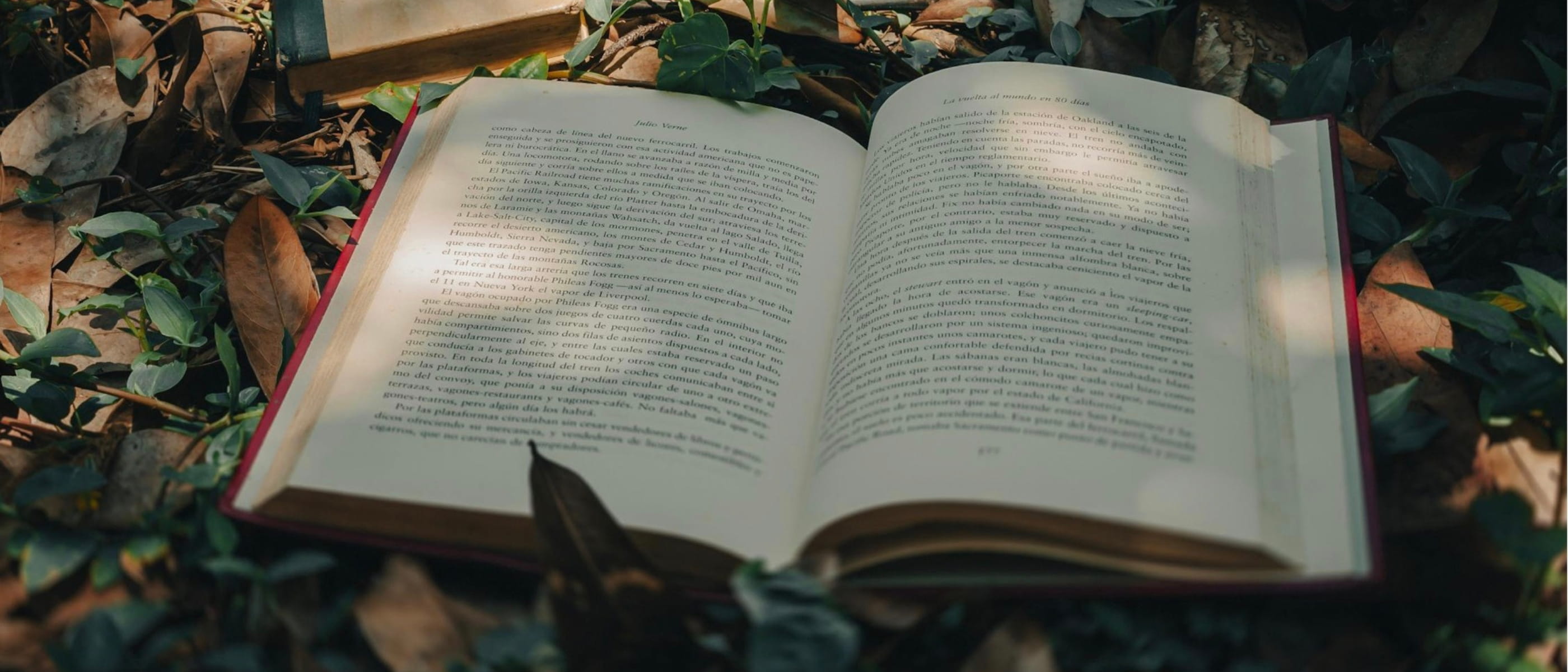 Livre ouvert - livres à lire Mexique - blog Mapache