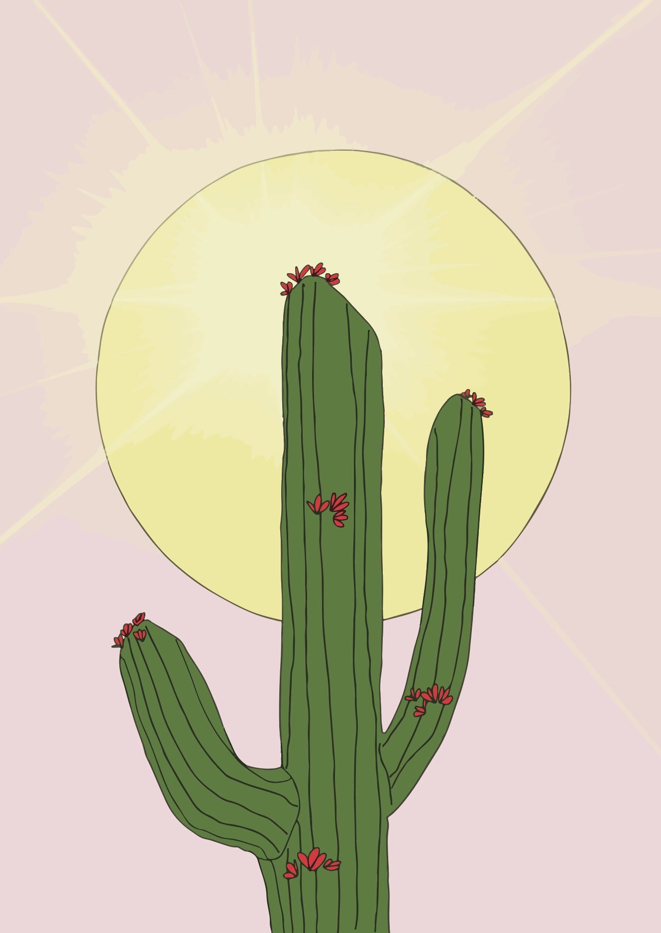 Sur un fond violet pâle, un grand soleil brille sur un cactus en fleur.