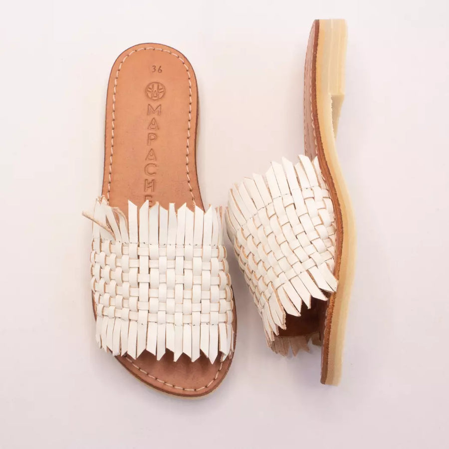 Mapache - Mules - Lagunilla Coco