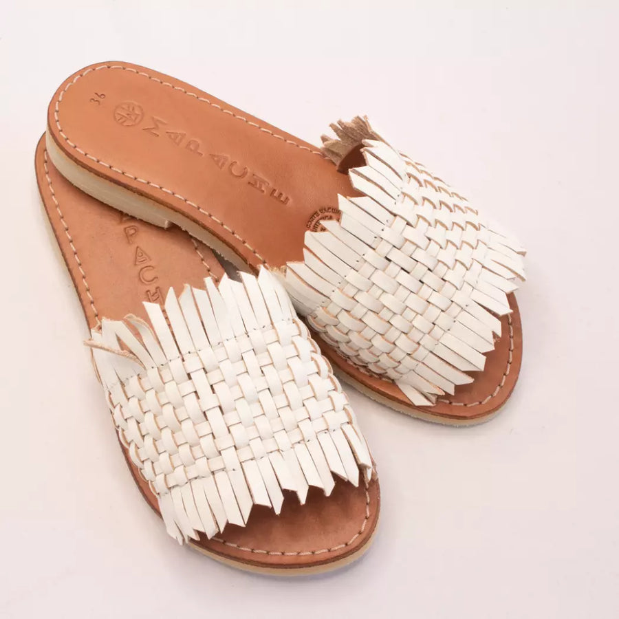 Mapache - Mules - Lagunilla Coco