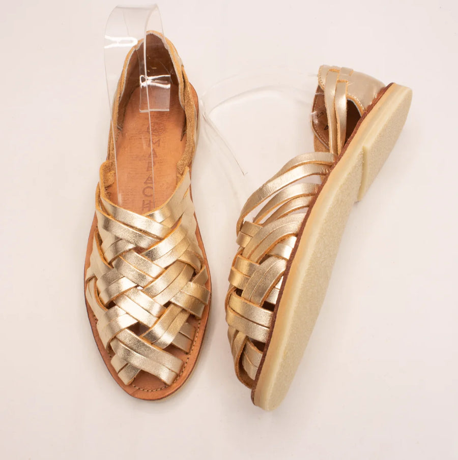 Mapache - Huaraches - Palma Champagne